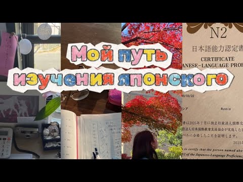 5 лет изучения японского языка: учеба в Японии, как не терять мотивацию, мое мнение о JLPT