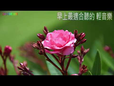 放鬆解壓 - 早上最適合聽的輕音樂