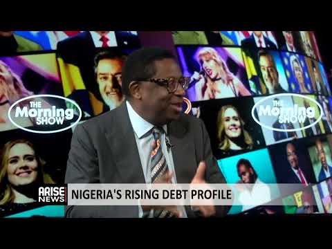Nigeria Not Yet in a Debt Crisis - Adebajo