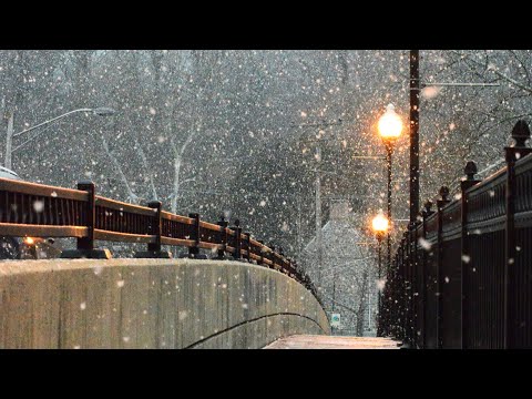 𝗝𝗮𝘇𝘇 𝗣𝗶𝗮𝗻𝗼 l 첫눈이 내렸고, 설렘 만큼 따뜻한 재즈가 쌓였다.