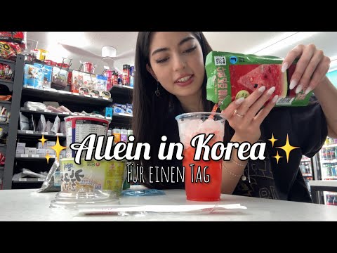Allein in Korea für einen Tag✨🦋
