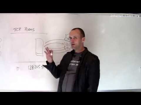 What is a TCP port and how is it used during connections?