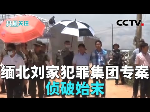 “有5支较成熟的军事化武装力量”，缅北果敢刘家豢养当地刑警队等超500人；缅北“果敢首富”刘家集团犯罪始末曝光 20251016 | CCTV中文《共同关注》