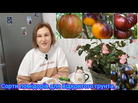 Які ПОМІДОРИ буду висівати в 24 році для вулиці🍅#екзотичнісортипомідорів#сортитоматів#томатинавулиці