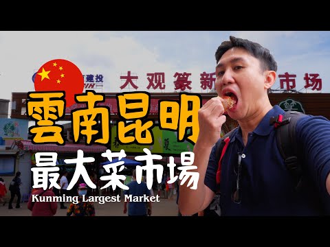 LARGEST MARKET in CHINA YUNNAN KUNMING! MUST EAT FOOD