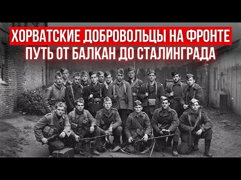 Тёмная правда о хорватских добровольцах: от идеологии к катастрофе