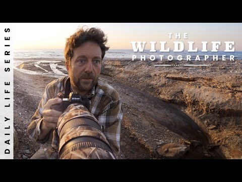 Backyard Photo Adventure - Landscapes, Birds and German Bunkers