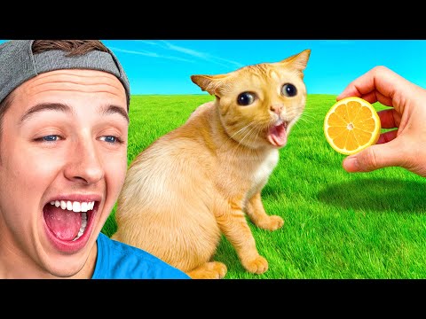 Try NOT to LAUGH (funniest pet titkoks)