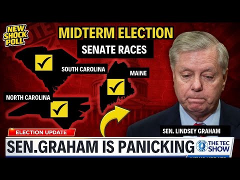BREAKING: Lindsey Graham PANICS on National TV as Polls COLLAPSE
