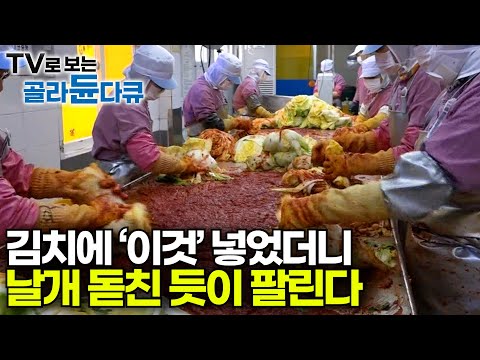 김치 공장 풀 가동 국산 김치 감칠맛의 비밀｜김치라고 다 같은 김치가 아닌 특별한 이유｜재료 한 끗 차이에서 나온다 ｜김장김치ㅣ김치 공장｜극한직업｜#골라듄다큐