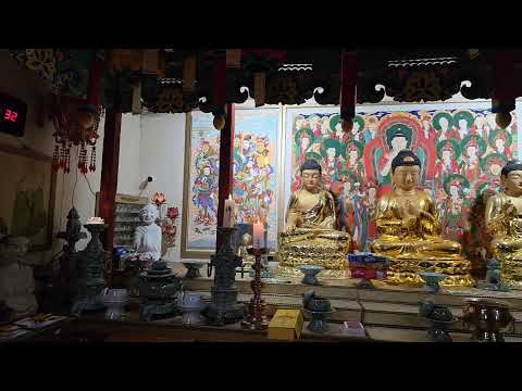 무창스님 라이브 방송