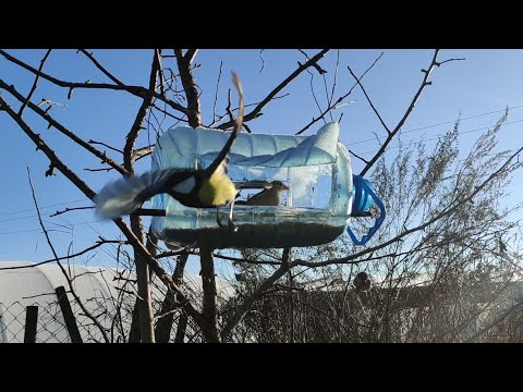 The Birds Are Very Grateful. DIY Feeder.