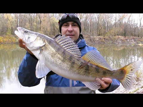 Zander Fishing on the Desna. Jigging for Zander