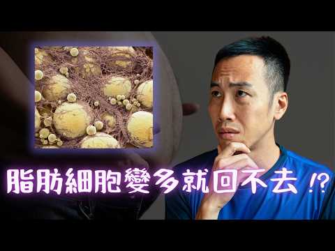 「小時候胖不是胖」是騙局？減肥→復胖的 5 大生理機制，3 大關鍵策略終結體重反彈！