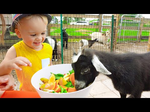 Chris and Mom feeding animals at the farm - funny stories for children
