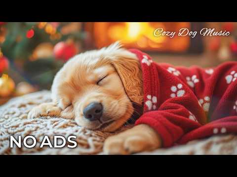 12 Hours Home Alone Calm Music for Dogs πΆπ Deep Calm & Safe Comfort While Youβre Away | NO ADS