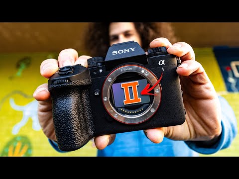 SONY a1 II in the Real World: ONE MAJOR FLAW! (vs a9 III)