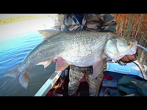 ВОТ ЭТО РЫБАЛКА! ЖОР КРУПНОЙ РЫБЫ. МЕЧТА, А НЕ РЫБАЛКА. Бешеный клёв. Рыбалка на закидушки