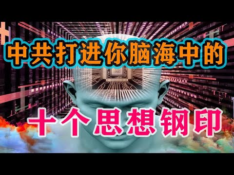 【枫说】洗脑程度测试01：盘点中共打进人们脑海中的十个思想钢印。连马斯克都中招了