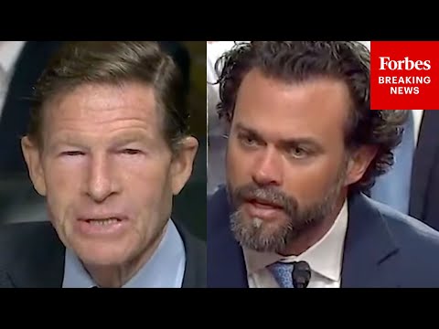 'I Was Relieved Of My Command For Publishing A Book': Trump Nominee Gives Frank Answer To Blumenthal