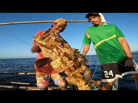 JACKPOT | 4 MARBLE GROUPER catch and sell