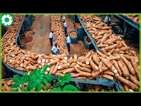 Terrible Off-Road Truck: You Will Be Shocked Truck and Agriculture Technology Machines #2