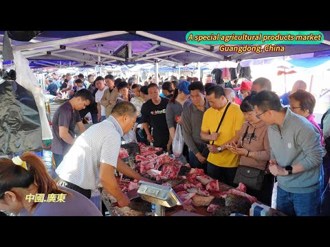 Amazing markets in southern China see people snapping up crocodile and snake meat.