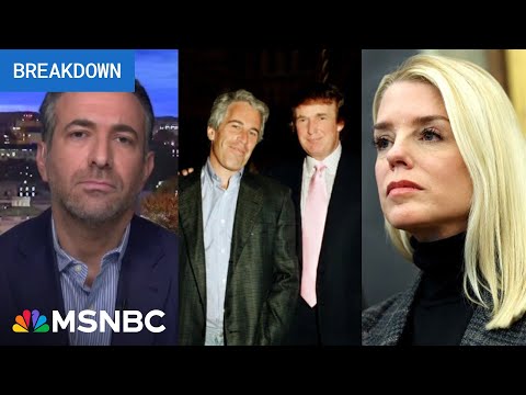 Trump panics over 20K Epstein emails: Ari on Bondi shredding her own 'cover up' memo