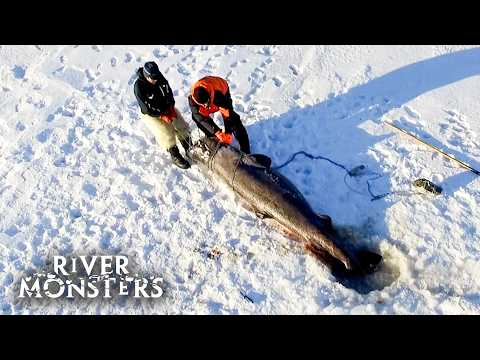 Best Moments and Catches in Europe | River Monsters
