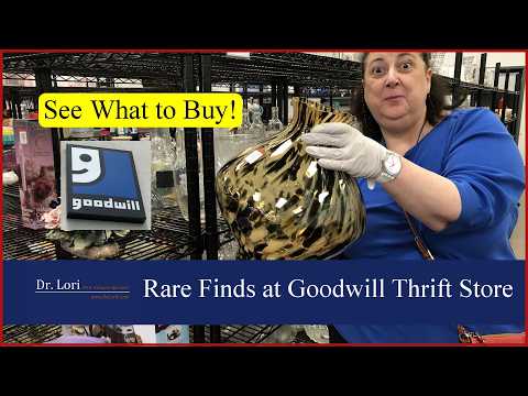 Shopping Rare Finds at Goodwill! Vintage Plates, Beanie Babies, Pyrex, Precious Moments by Dr. Lori