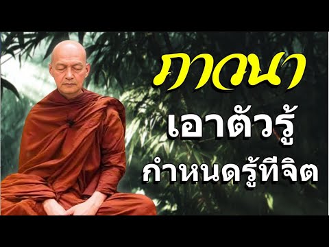 พระอาจารย์คึกฤทธิ์ โสตฺถิผโล: การภาวนา คือเอาตัวรู้ กำหนดรู้ที่จิต #พุทธวจน #สมาธิ#2