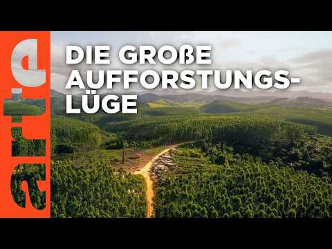 Retten Bäume den Planeten? | Doku HD | ARTE
