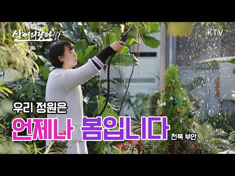 (전북 부안) 우리 정원은 언제나 봄입니다! 온 가족이 만드는 사계절 따뜻한 정원 ktv, korea tv, cafe, garden, healing (시즌4)