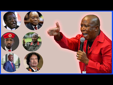JULIUS MALEMA ON AFRICAN LEADERS