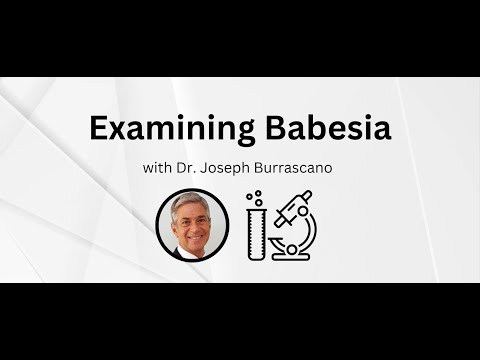 Examining Babesia