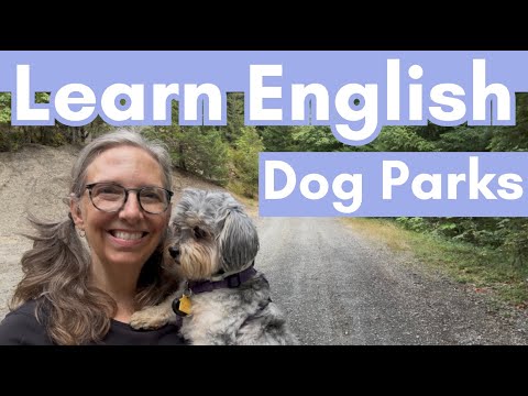Learning English | Dog Parks in the USA