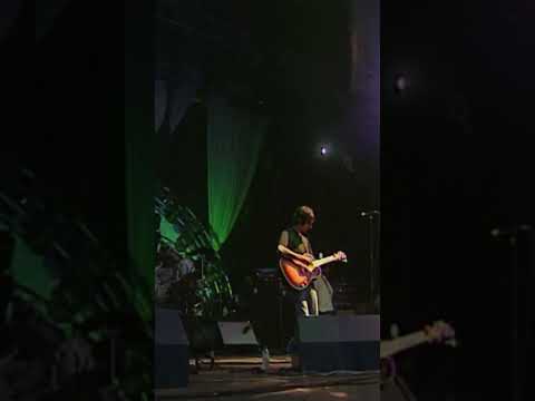 Neon Wilderness into Weeping Willow 🎸🥁 #theverve