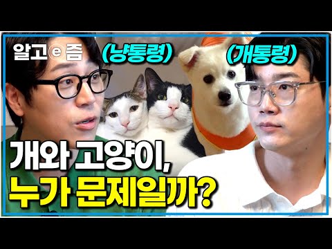 수의사 2명 총출동한 역대급 특급 솔루션! 강아지 1마리, 고양이 2마리 합사를 위해 설채현, 나응식 수의사 총출동｜세상에 나쁜 개는 없다｜알고e즘