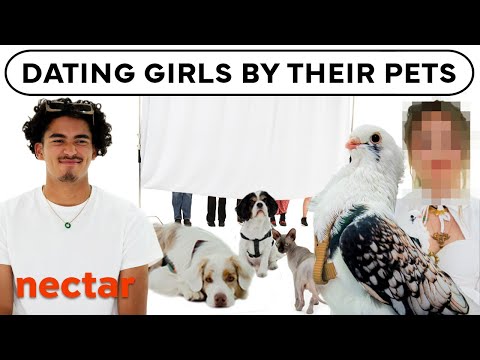 blind dating 6 girls based on pets | versus 1