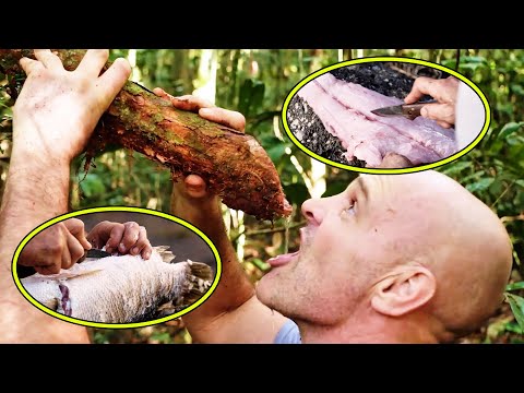 He Not Only Stole Crocodile Eggs But Also Took Away The Cheetah's Food To Make A Delicious Dinner.