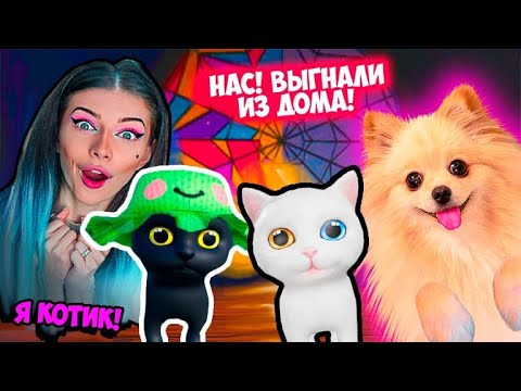 WE BECAME CATS AND WE WERE KISSED OUT OF THE HOUSE! WE WERE KIDNAPPED! WE WILL NO LONGER POOP IN ...