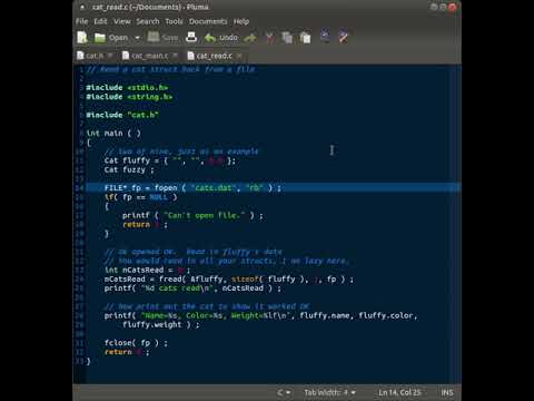 Reading your struct from a binary file