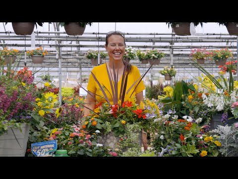 PETITTI | How to Create a Container Garden with Heat-Loving, Drought-Tolerant Annuals