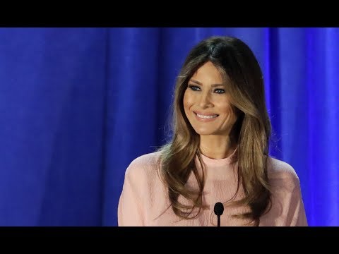 How Exactly Did Melania Trump Get an "Einstein Visa?"