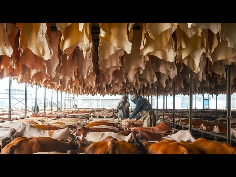 How Millions of Tons of Leather Are Made | Inside Animal Hide Processing & Tanning Factories
