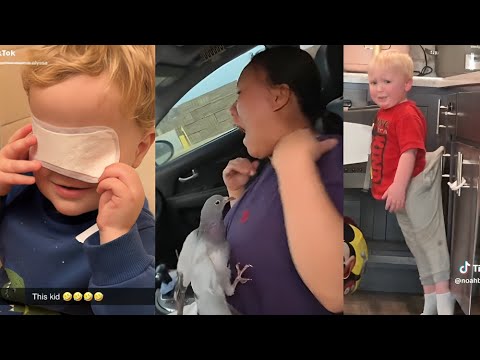 Random videos I watch at 2 a.m. #25