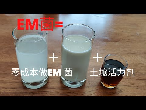 Home-made EM bacteria, zero-cost , soil vigour agent, realizing no-tillage planting