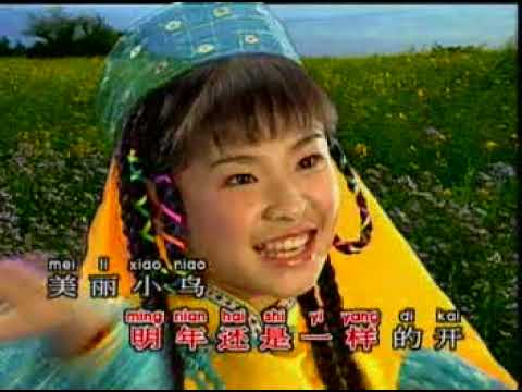 青春舞曲-黄美诗