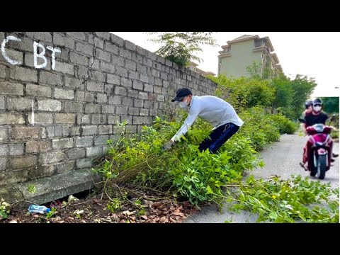 Volunteer to clean up and widen roads when overgrown grass and trash encroach on the roadway
