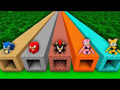 I found a SONIC TUNNEL vs TAILS vs AMY in Minecraft ! What's INSIDE the SHADOW SONIC TUNNEL ?